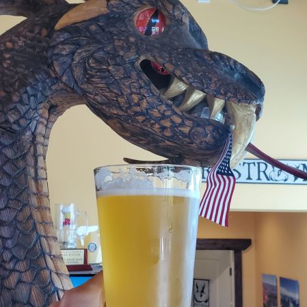 AngryErik_FjordCrosser