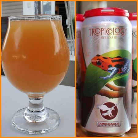 LoneEagle_Tropicology (2)